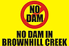 No Dam in BHC logo